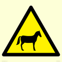 w506-warning-horses~